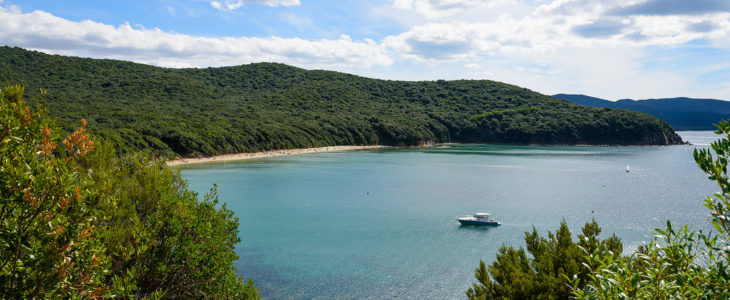 Cala Violina: il mare da non perdere della tua vacanza in Maremma