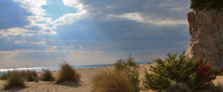 Il parco dell’Uccellina.. la perla della Maremma!